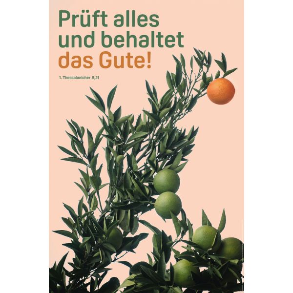 Produktbild des Artikels Jahreslosung 2025 - Poster 40 x 60 cm (Schreibwaren)