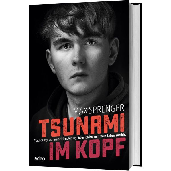 Produktbild - Tsunami im Kopf