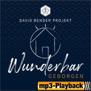 Produktbild des Artikels MP3-Track - Download, Ich lieb dich, Herr (Playback ohne Backings)