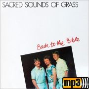 Produktbild des Artikels MP3-Track - Download, Are You Washed In The Blood