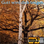 Produktbild des Artikels MP3-Album - Download, Gott wird dich tragen