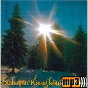 Produktbild des Artikels MP3-Track - Download, Mache dich auf, werde licht *