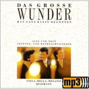 Produktbild des Artikels MP3-Album - Download, Das große Wunder hat ganz klein begonnen