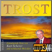Produktbild des Artikels MP3-Track - Download, Trost