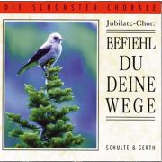 Produktbild des Artikels MP3-Album - Download, Befiehl du deine Wege
