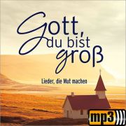 Produktbild des Artikels MP3-Track - Download, Gott zeigt mir den Weg