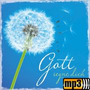 Produktbild des Artikels MP3-Album - Download, Gott segne dich