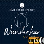 Produktbild des Artikels MP3-Track - Download, Wer nur den lieben Gott lässt walten
