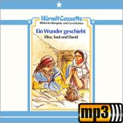 Produktbild des Artikels MP3-Hörbuch - Download, Ein Wunder geschieht - Elisa, Saul und David - Folge 10
