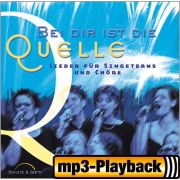 Produktbild des Artikels MP3-Album - Download, Bei dir ist die Quelle (Playback ohne Backings)