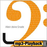 Produktbild des Artikels MP3-Album - Download, Allein deine Gnade (Playback ohne Backings)