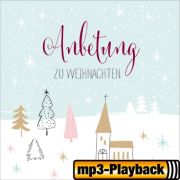 Produktbild des Artikels MP3-Track - Download, Wunder über Wunder (Playback mit Backings)