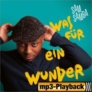 Produktbild des Artikels MP3-Album - Download, Was für ein Wunder (Playback ohne Backings)