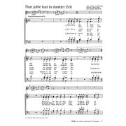 Produktbild des Artikels Noten - Download, Nun juble laut in dunkler Zeit