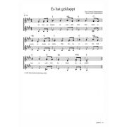 Produktbild des Artikels Noten - Download, Es hat geklappt
