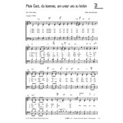 Produktbild des Artikels Noten - Download, Mein Gott, du kommst, um unter uns zu leiden