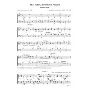 Produktbild des Artikels Noten - Download, Nun komm, der Heiden Heiland
