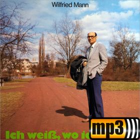 Produktbild des Artikels MP3-Track - Download Gott versteht dich