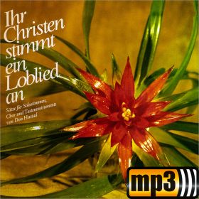 Produktbild des Artikels MP3-Track - Download Geist Gottes, rühr mich an