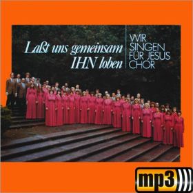 Produktbild des Artikels MP3-Track - Download Wie tief kann ich fallen