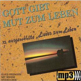 Produktbild des Artikels MP3-Track - Download Du kannst noch einmal neu beginnen