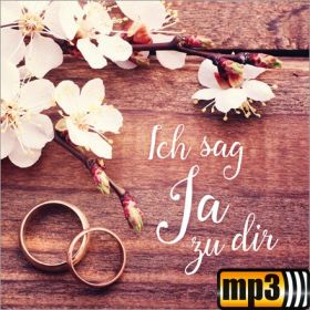 Produktbild des Artikels MP3-Album - Download Ich sag Ja zu dir
