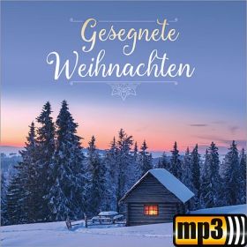 Produktbild des Artikels MP3-Track - Download Gesegnete Weihnachten