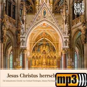 Produktbild des Artikels MP3-Track - Download Nun sich der Tag geendet