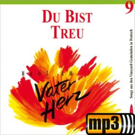 Produktbild des Artikels MP3-Album - Download Du bist treu - Nahe am Vaterherz (9)