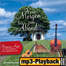 Produktbild des Artikels MP3-Track - Download Vaterunser (Playback ohne Backings)
