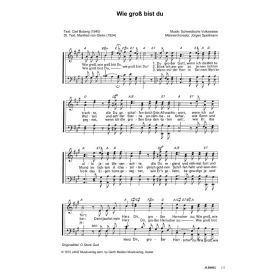 Produktbild des Artikels Noten - Download Wie groß bist du / O Store God