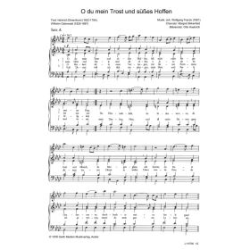 Produktbild des Artikels O du mein Trost und süßes Hoffen (Noten - Download)
