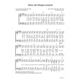 Produktbild des Artikels Wenn der Morgen erwacht / We'll Understand It Better By And By (Noten - Download)