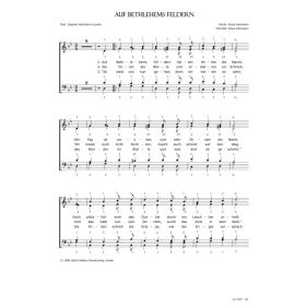 Produktbild des Artikels Noten - Download Auf Bethlehems Feldern