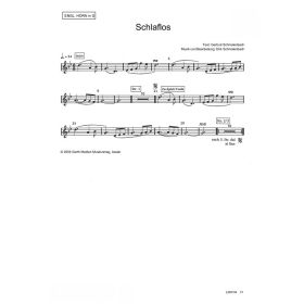 Produktbild des Artikels Noten - Download Die Nacht der Geschenke (ENGL.HORN in G)