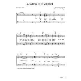 Produktbild des Artikels Noten - Download Mein Herz ist so voll Dank