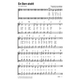 Produktbild des Artikels Noten - Download Ein Stern strahlt
