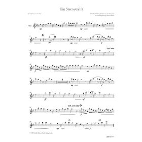 Produktbild des Artikels Noten - Download Ein Stern strahlt (Flöte)