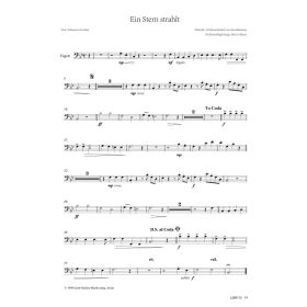 Produktbild des Artikels Noten - Download Ein Stern strahlt (Fagott)