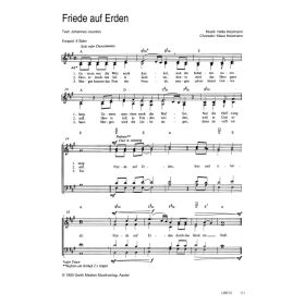 Produktbild des Artikels Noten - Download Friede auf Erden