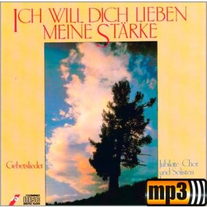 Produktbild des Artikels Hier hast du meine beiden Hände (MP3-Track - Download)