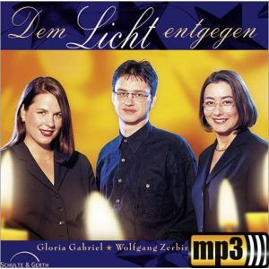 Produktbild des Artikels Internationales Weihnachtsmedley 2 (MP3-Track - Download)