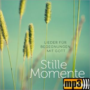 Produktbild des Artikels Stille Momente (MP3-Album - Download)