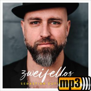 Produktbild des Artikels Nie zu spät (MP3-Track - Download)