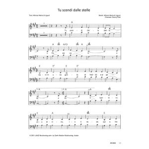 Produktbild des Artikels Tu scendi dalle stelle (Noten - Download)