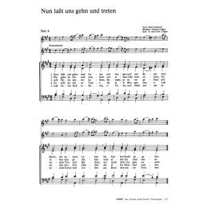 Produktbild des Artikels Nun lasst uns gehn und treten (Noten - Download)