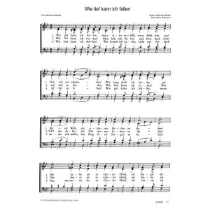 Produktbild des Artikels Wie tief kann ich fallen (Noten - Download)
