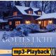 Der Morgen wird kommen (Playback ohne Backings)