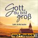 Gott zeigt mir den Weg (Playback)