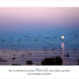 Stimmungsbild zu Meerblick - Aufstellbuch